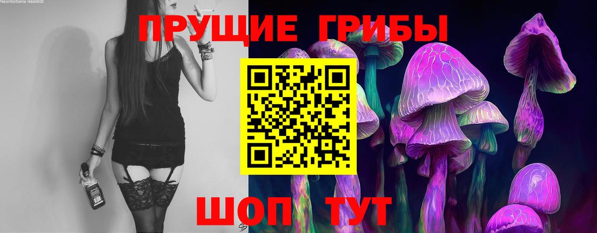 Галлюциногенные грибы MAGIC MUSHROOMS Мценск