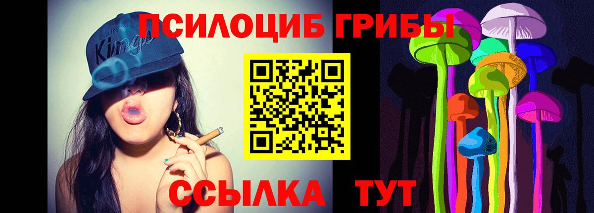 Псилоцибиновые грибы мухоморы  Вход с VPN  Мценск 